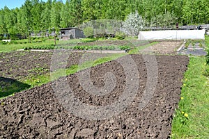 The dug-up kitchen garden on the seasonal dacha