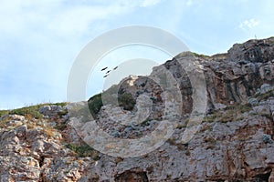 Dugi Otok Cliffs, Telascica Nature Park, Croatia