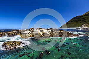 Duiker Island, South Africa