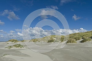Duinen op Vlieland, Dunes at Vlieland