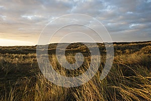 Duinen op Vlieland, Dunes at Vlieland