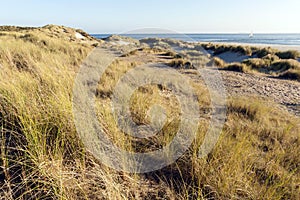 Duinen op Vlieland, Dunes at Vlieland