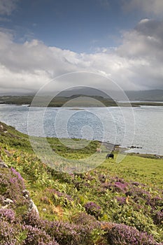 Duirinish, Isle of Skye