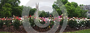 Duke Chapel Panorama photo