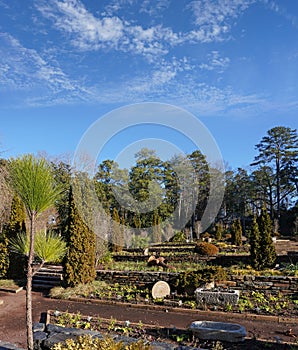 Duke Gardens in Durham , North Carolina