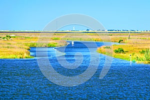 Dulac, Louisiana Bayou