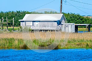 Dulac, Louisiana Bayou