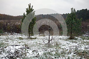 dull landscape with first snow