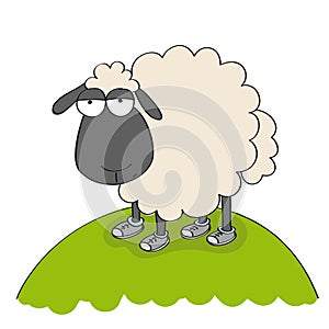 Dull sheep in shoes, standing on the hill and looking stupid