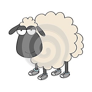 Dull sheep in shoes, standing and looking stupid photo