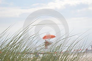 The dull view of the beach and lifeguard through the grass