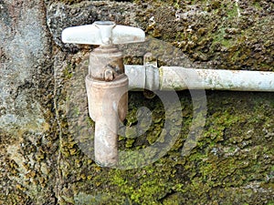 dull white tap water stuck to an old wall covered in green moss and dry brownish yellow moss