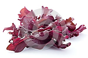 Dulse Algae On White Background, Closeup. Generative AI