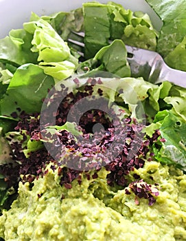 Dulse Seaweed Flakes on a Salad