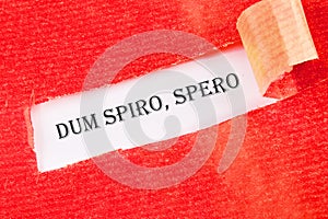 Dum Spiro Spero - latin phrase means While I Breath, I Hope. on a white background under torn paper photo