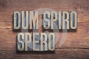 Dum spiro spero wood photo