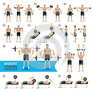 Dumbbell Exercises and Workouts Weight Training.