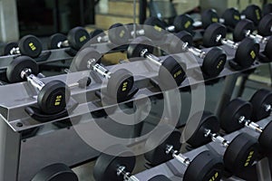 Dumbbell set in fitness gym workout weights traning photo