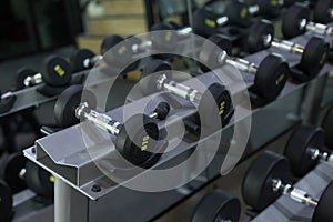 Dumbbell set in fitness gym workout weights traning photo
