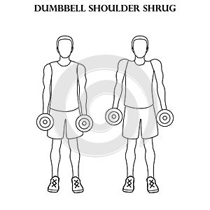 Dumbbell shoulder shrug exercise strength workout illustration outline