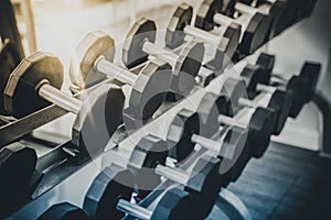 Dumbbells on rack in fitness center