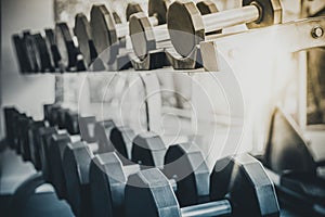 Dumbbells on rack in fitness center