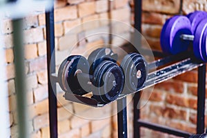 dumbbells and weights on shelves