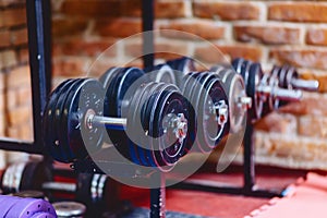 dumbbells and weights on shelves