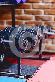 dumbbells and weights on shelves