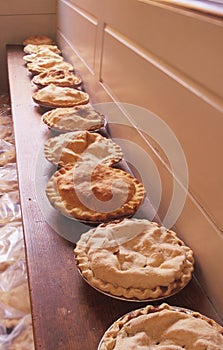 Dummerston Apple Pie Festival