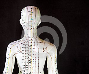 Dummy with glowing acupuncture meridians displayed against a dark background