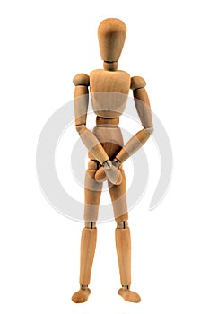 The dummy wooden mannequin on a white background