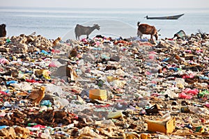 Dump on the beach