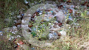 Dump with Discarded Plastic Bottles in Forest in Nature