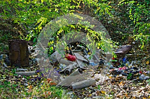 Dump in forest. Problem of pollution of environment