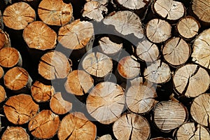 Dump of logs in Nizna Boca village and municipality in Liptovsky Mikulas district, Slovakia