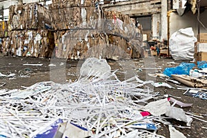 Dump pile of used shreded paper wrap and document against bales of compressed cardboard collected for recycling and