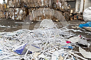 Dump pile of used shreded paper wrap and document against bales of compressed cardboard collected for recycling and