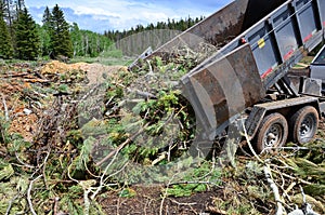 Dump Trailer Dumping Limbs photo