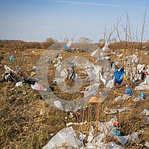 a dump and trash heap of plastic bags scattered across the field and trees, foreshadowing an environmental disaster in the 21st