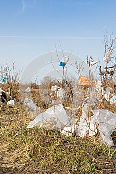 a dump and trash heap of plastic bags scattered across the field and trees, foreshadowing an environmental disaster in the 21st