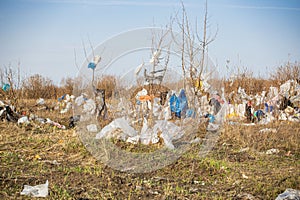 a dump and trash heap of plastic bags scattered across the field and trees, foreshadowing an environmental disaster in the 21st