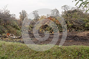 Dump trash from waste wood. The trunks and branches of the tree piled in heaps.