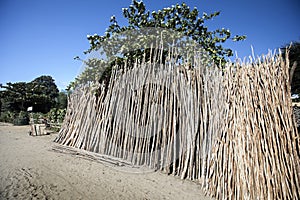 The dump treated wood for fencing Madagascar