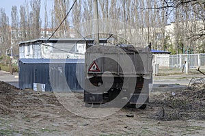 Dump truck with a full body of cut tree branches