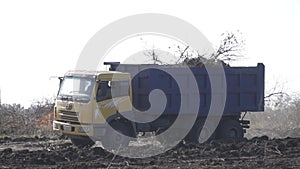 Dump truck with tree branches is driving on a country road