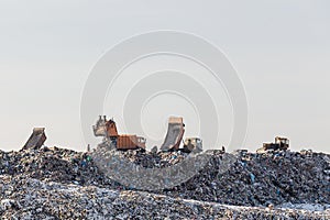 Dump trucks unloading garbage over vast landfill. Environmental pollution. Outdated method of wasate disposal. Survival of times