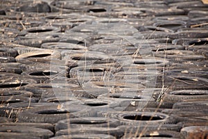 Dumped old car tires