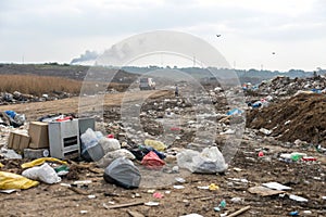 Environmental Pollution Garbage Dumping