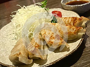 Dumpling Delight. Japanese